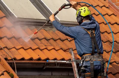 Démoussage et hydrofuge de toiture à Plévin